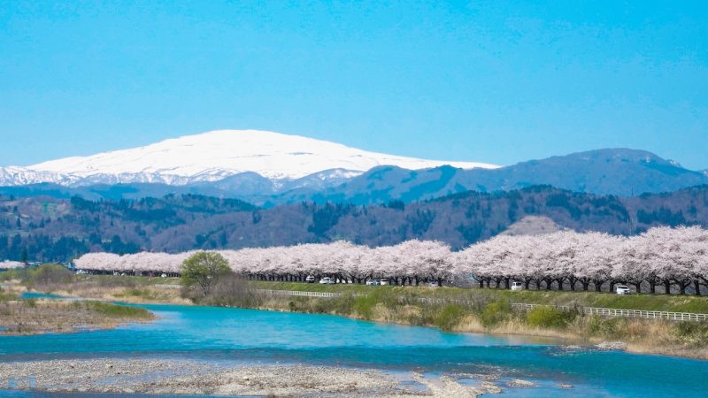 天童 E-BIKE TOUR 雪山×桜の絶景サイクリング