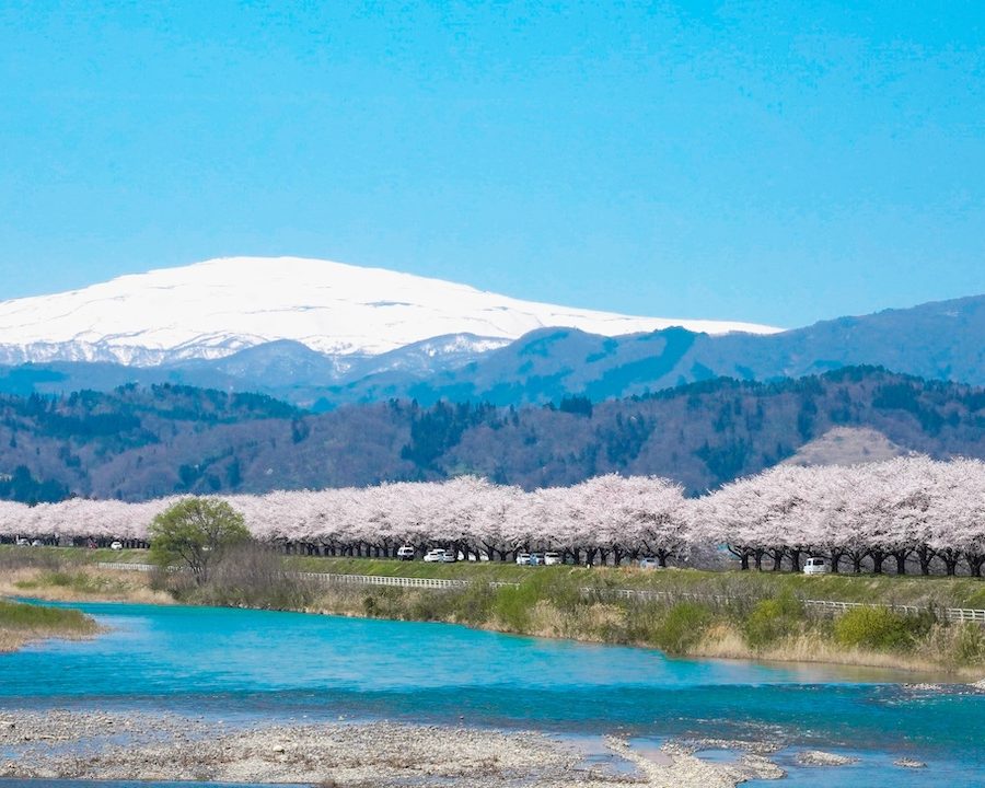 天童 E-BIKE TOUR 雪山×桜の絶景サイクリング